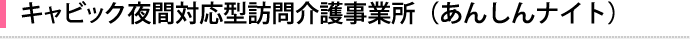 キャビック夜間対応型訪問介護事業所（あんしんナイト）